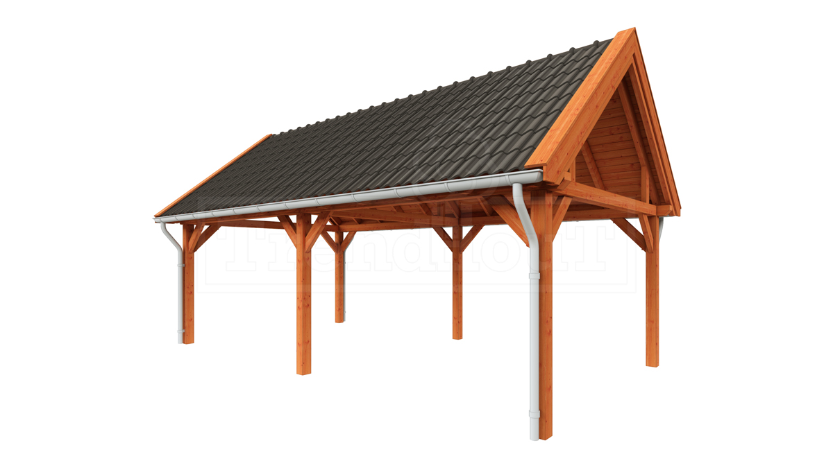Buitenverblijf zadeldak XL 770x440 cm afbeelding