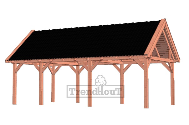 Buitenverblijf zadeldak XL 815x440 cm