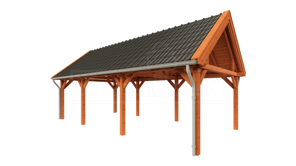 Buitenverblijf zadeldak XL 875x440 cm afbeelding