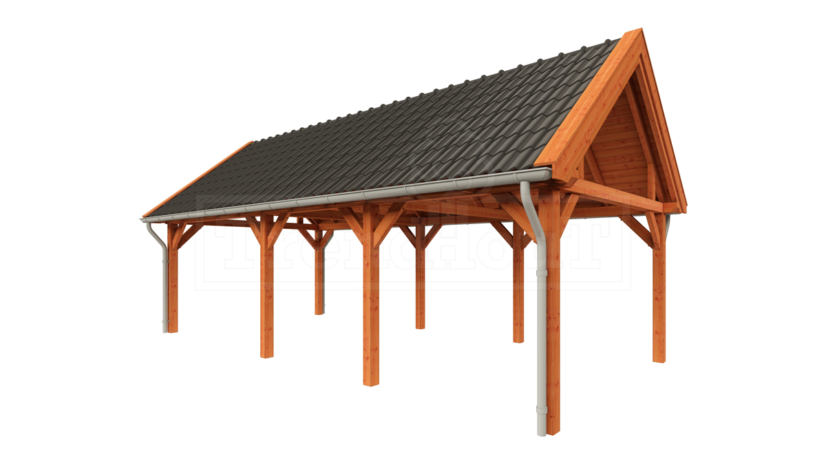 Buitenverblijf zadeldak XL 885x440 cm afbeelding