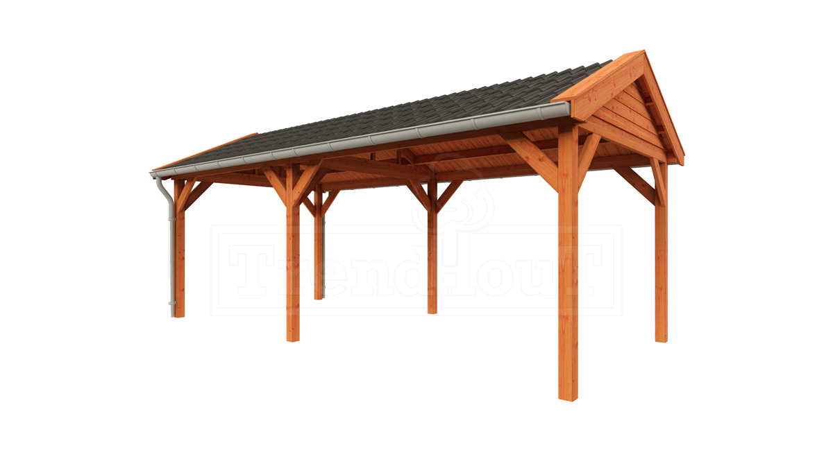 Overkapping Zadeldak Betula 680x350 cm afbeelding