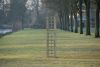 Trellis recht H180xB30cm