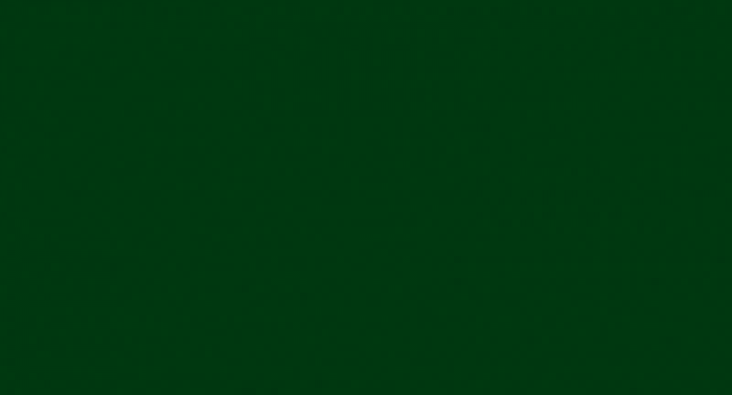 Koopmans Perkoleum beits - 2,5 ltr - Dekkend Donkergroen