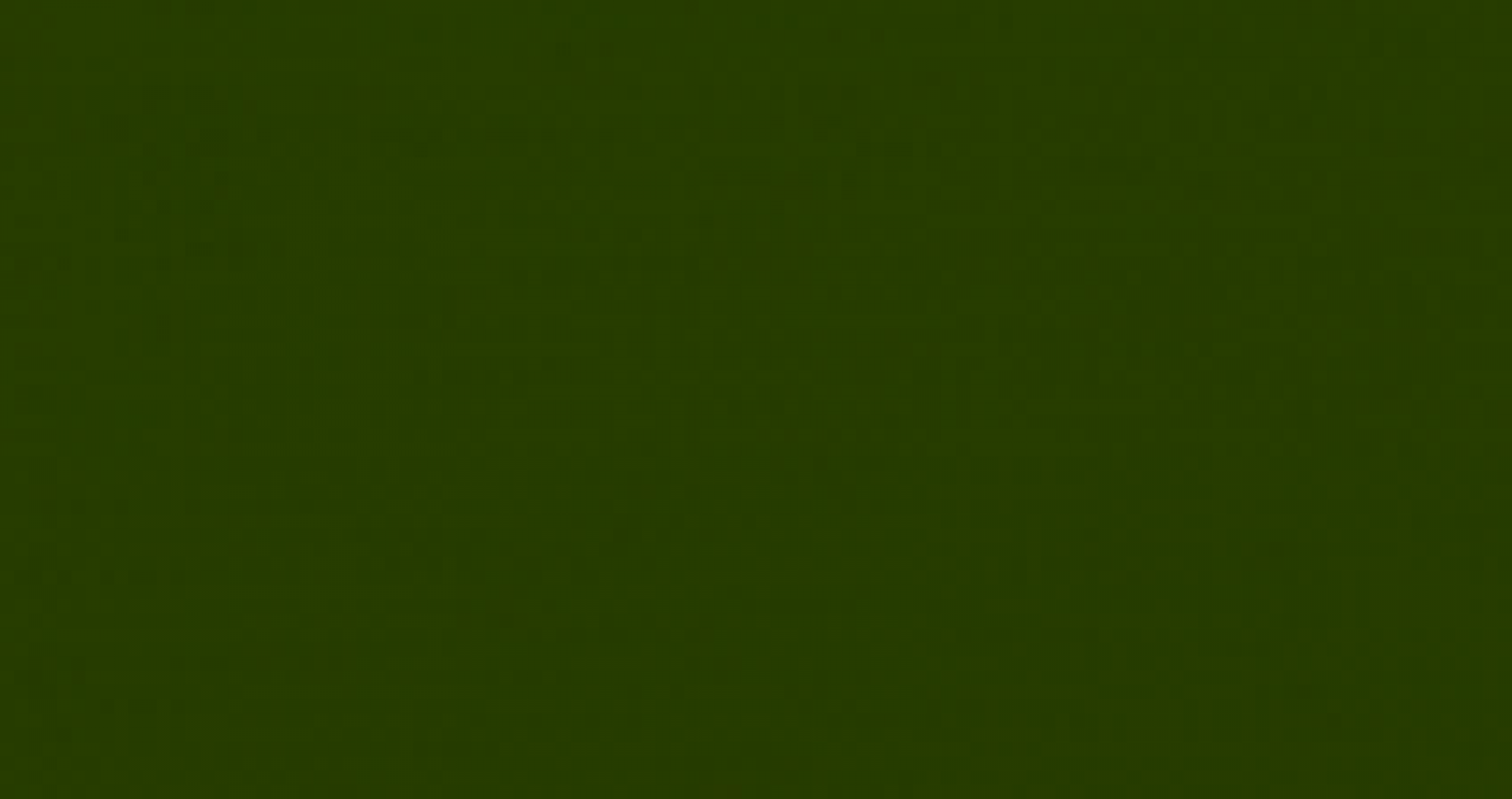 Koopmans Perkoleum beits - 2,5 ltr - Dekkend Bronsgroen