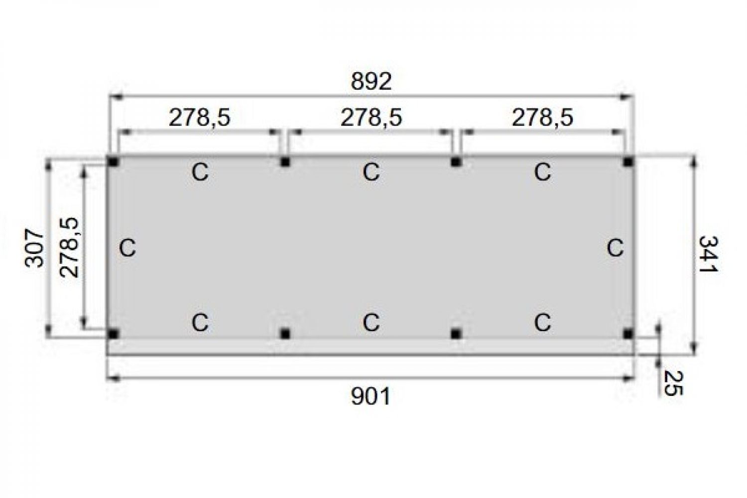 Plattegrond overkapping Premium L 900x310 cm 