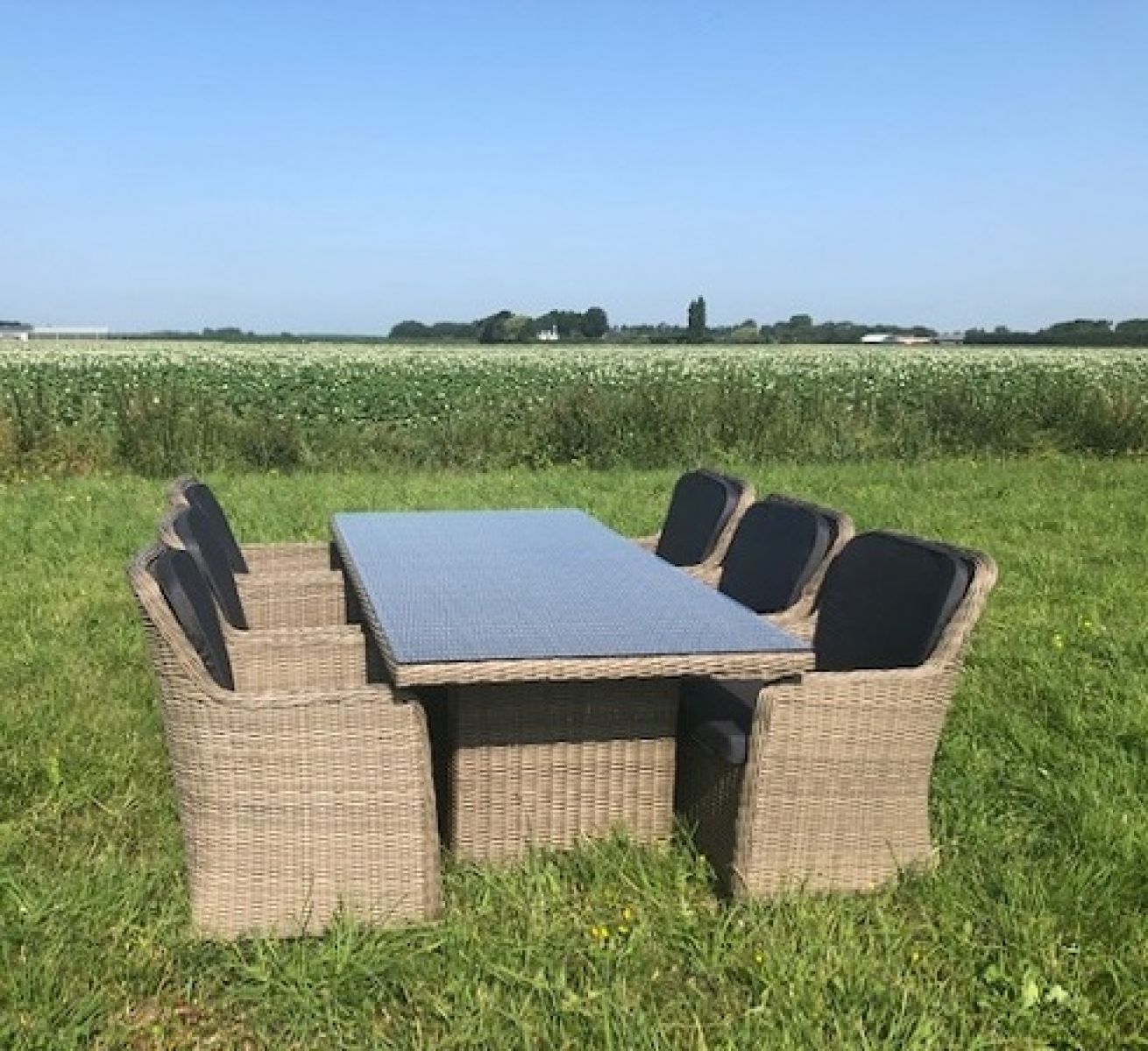 Dinnerset Kaapstad wicker tafel + 6 stoelen inclusief rugkussens - Numansdorp, Hoofddorp & Amersfoort