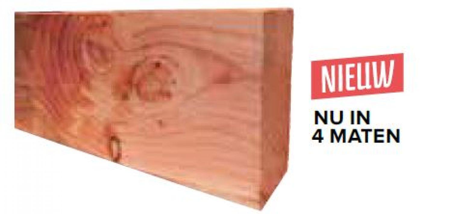 Fijnbezaagde gording Douglas 5x15x300 cm - blank
