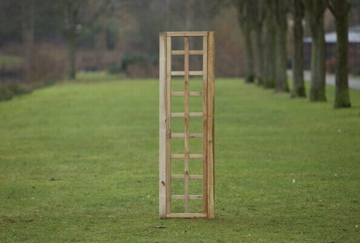 Trellis recht met rechte lijst 180x40cm