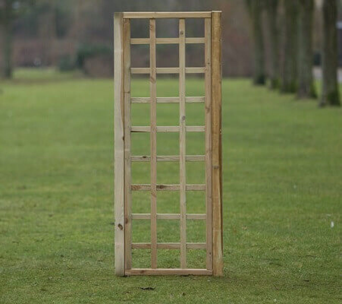 Trellis recht met rechte lijst 180x60cm
