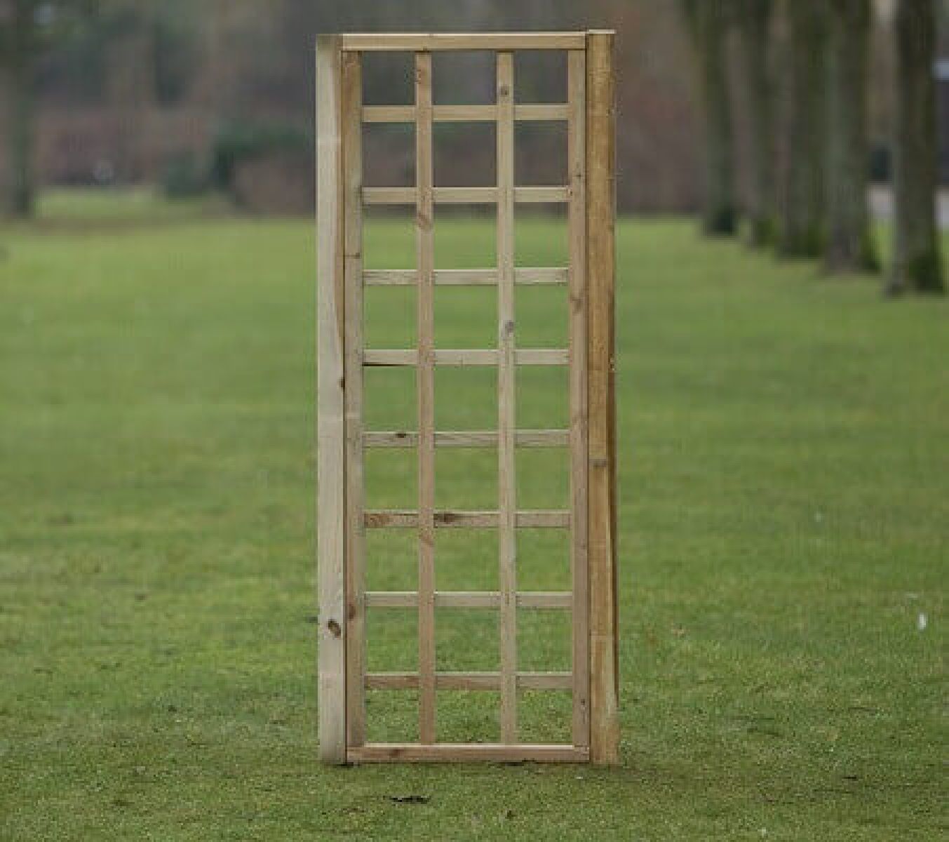 Trellis recht met rechte lijst 180x60cm