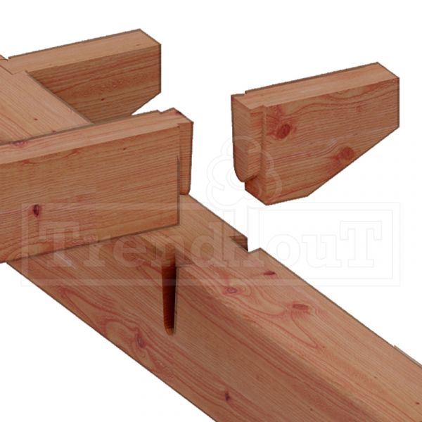 Trendhout Buitenverblijf Florence 650x360 cm - Plat dak