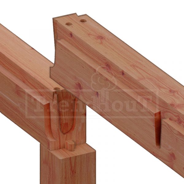 Trendhout Overkapping Palermo 600x370 cm