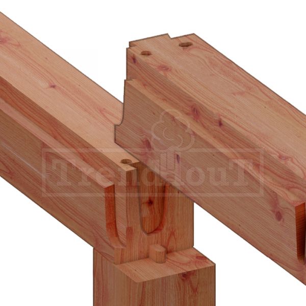 Trendhout Overkapping Palermo XXL 625x380 cm