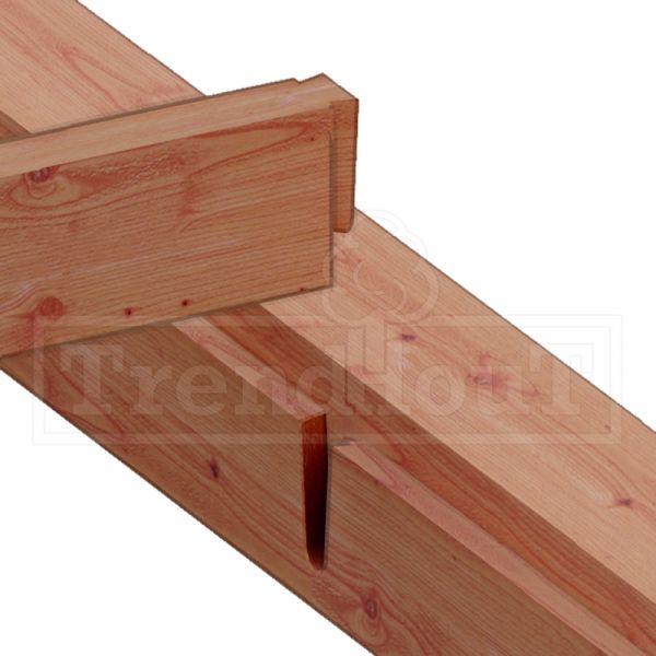 Trendhout Overkapping Palermo XXL 990x315 cm