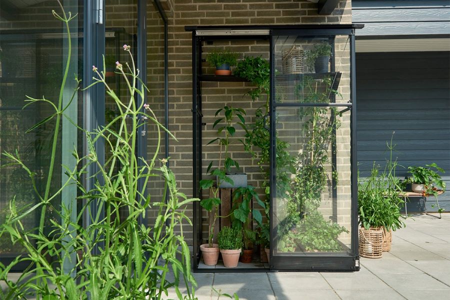 Muurkas Qube - Lean-to 24 - 128x65x204 cm - Zwart - Veiligheidsglas