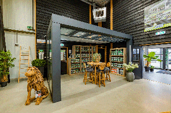 Cube veranda 500x300 cm - glasdak incl. onderdakzonwering en led-spots - Velp