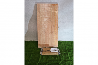 Enkele poortdeur blank douglas 93 x 196 cm (bxh) - SALE25049