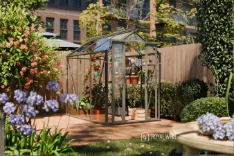 Royal Well Anne II tuinkas 150x220 cm groengrijs  met 3mm veiligheidsglas (inclusief fundament)