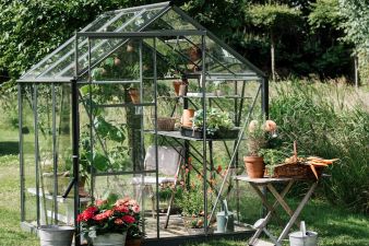 Tuinkas Kate I Full Options groengrijs 3 mm veiligheidsglas