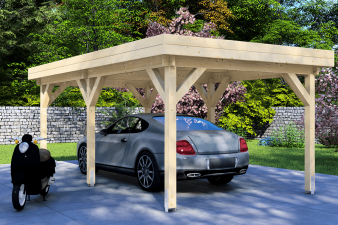 Carport 300x600 cm plat dak