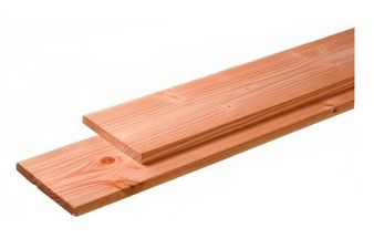 Plank Douglas