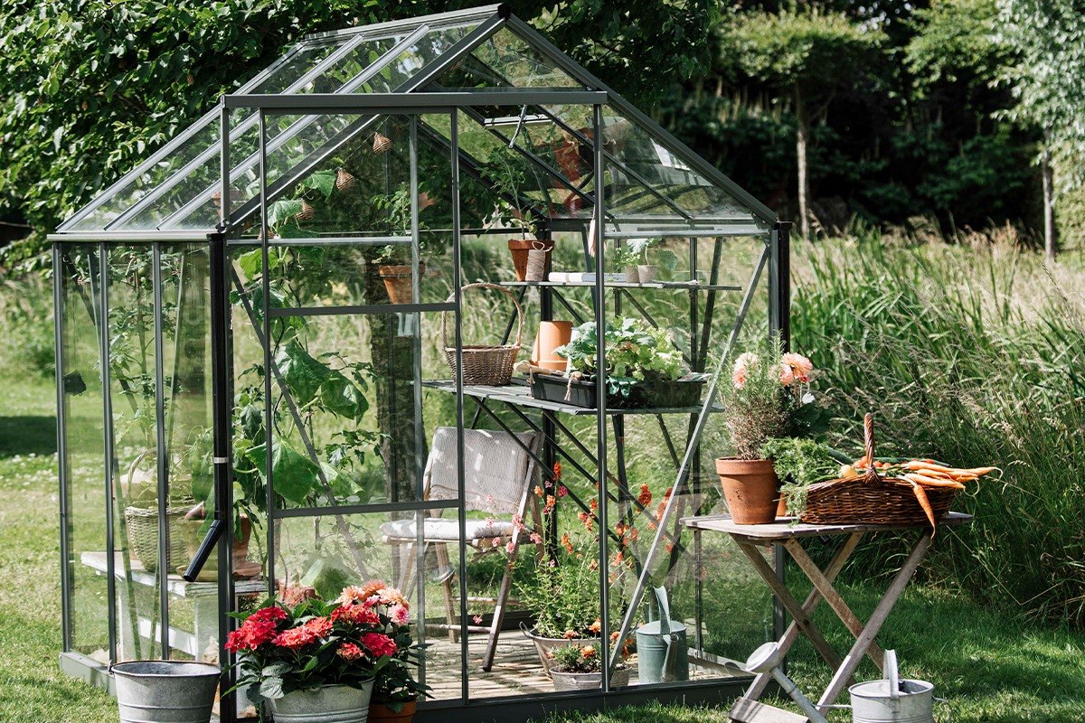 Tuinkas Kate I - 192x192 cm - Groengrijs- - Veiligheidsglas- Royal Well afbeelding