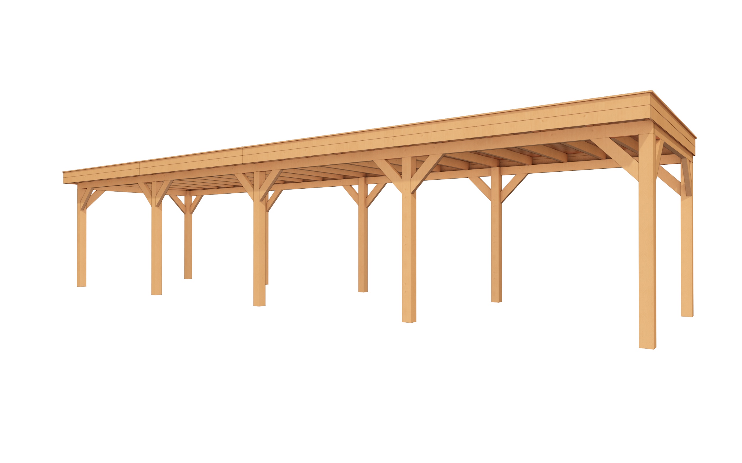 Buitenverblijf SUBLIME Plat dak - 1200x300 cm afbeelding