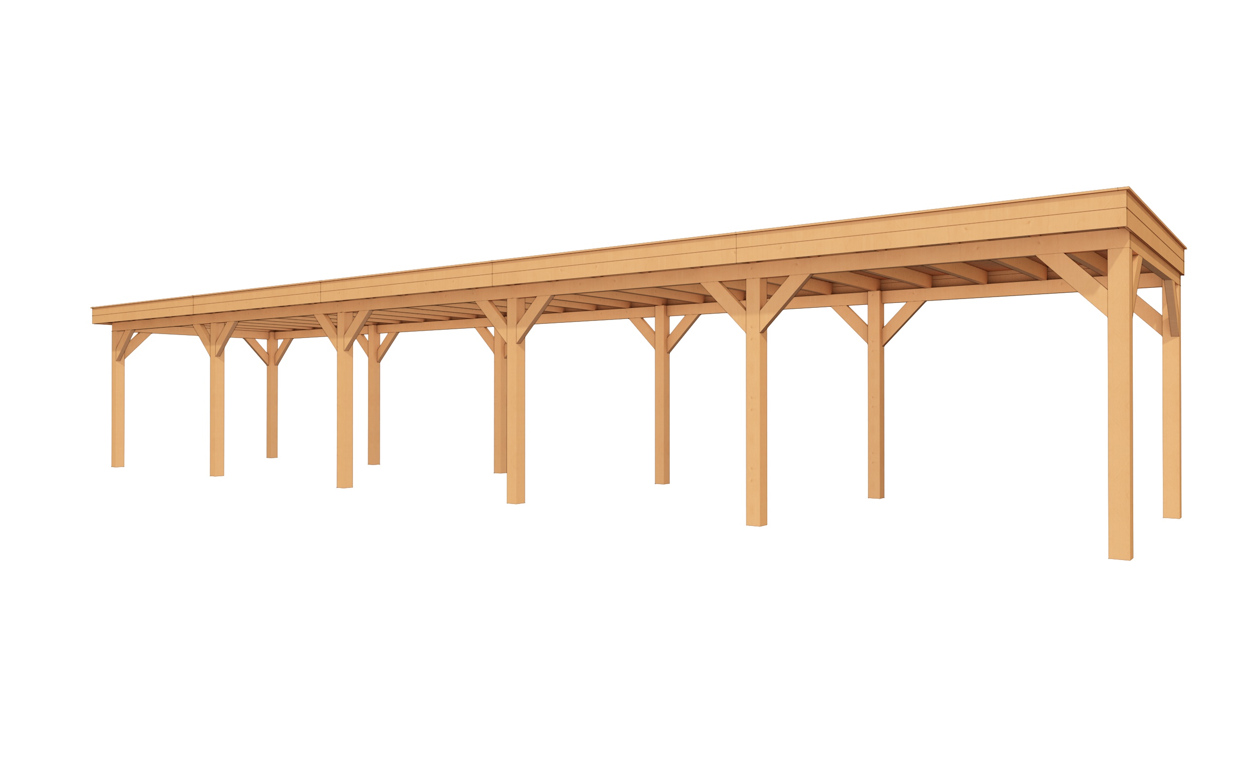 Buitenverblijf SUBLIME Plat dak - 1500x300 cm afbeelding