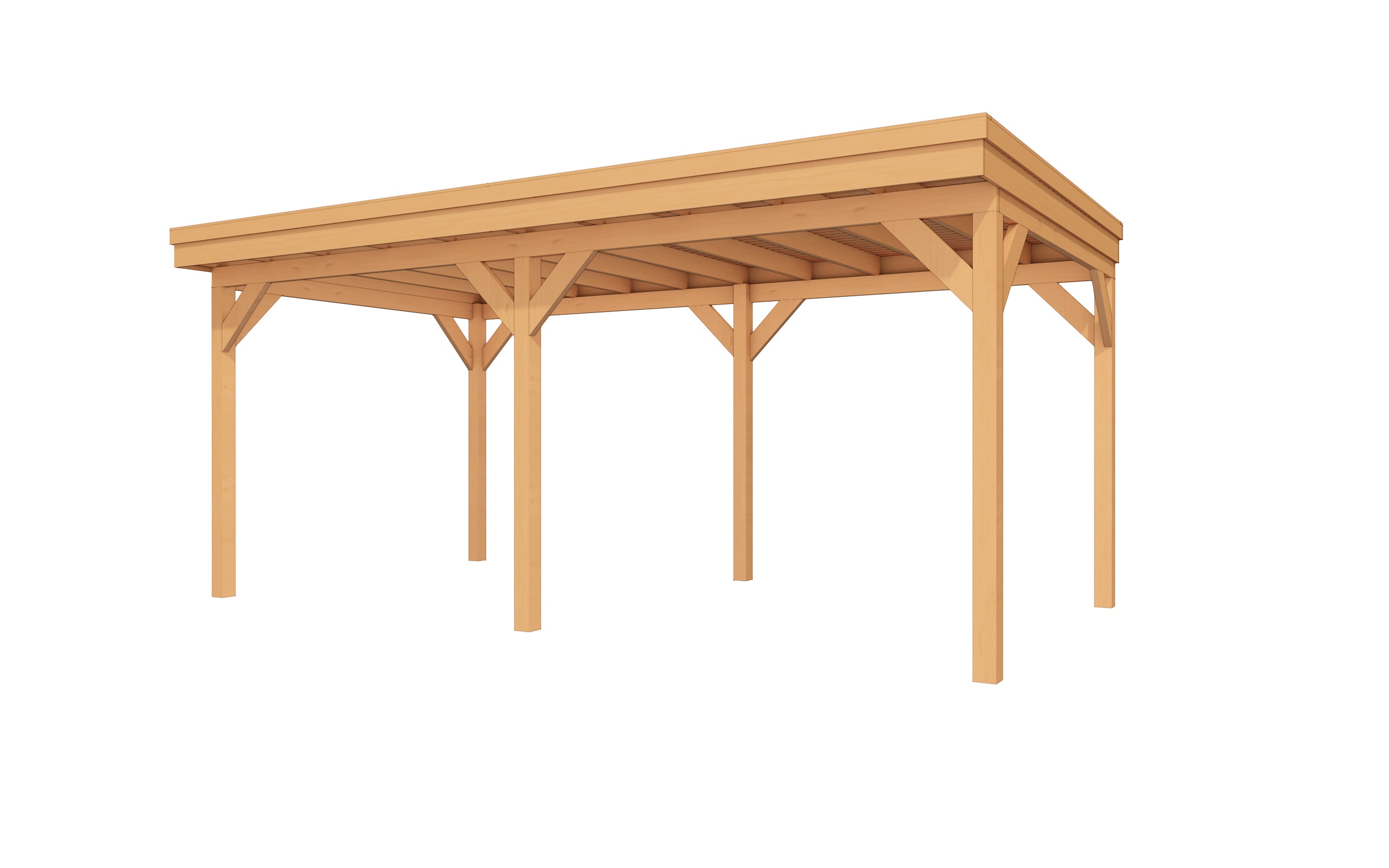 Buitenverblijf EASYLINE Plat dak - 600x300 cm - Bouwpakket afbeelding