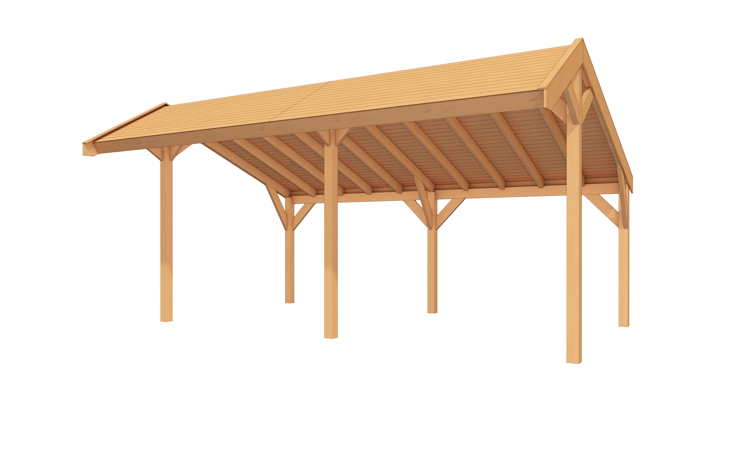 DHZ Kapschuur EASYLINE - 600x300 cm afbeelding