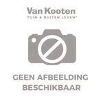 No image available
